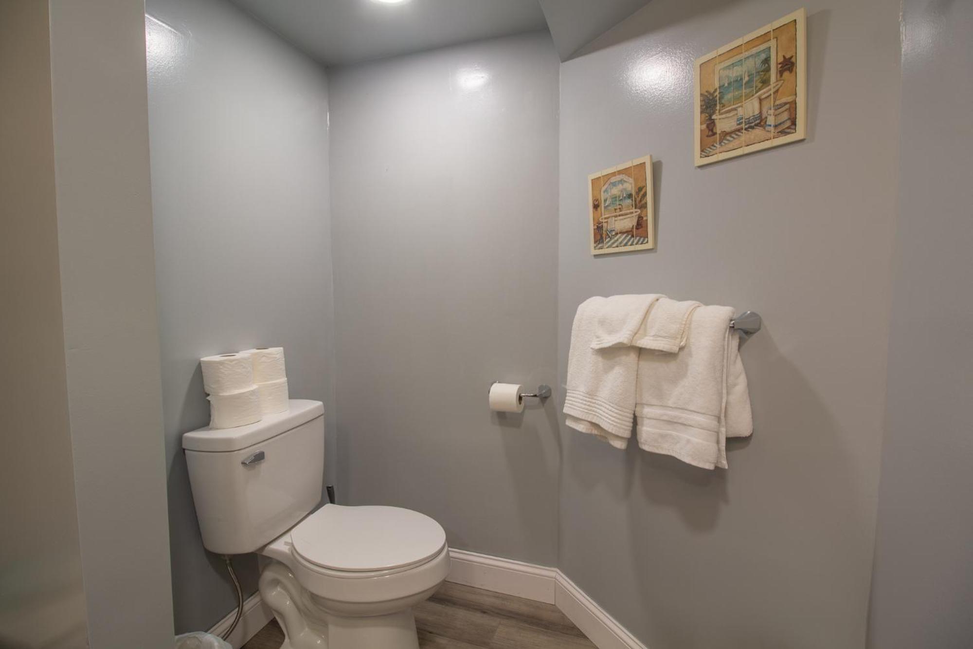 Stay In Ohiopyle In Town By The Gap Trail Exteriér fotografie